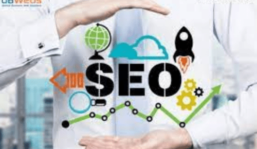 seo for cbd websites