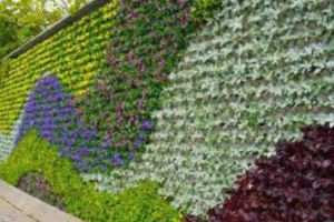 Tropical Plant Rentals