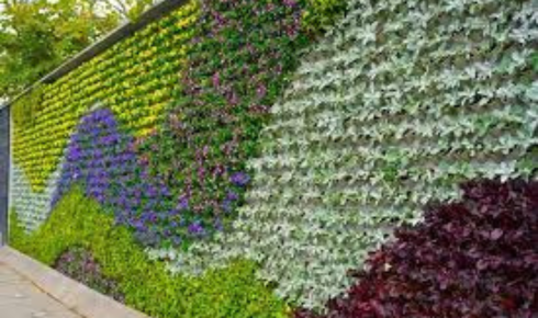 Tropical Plant Rentals